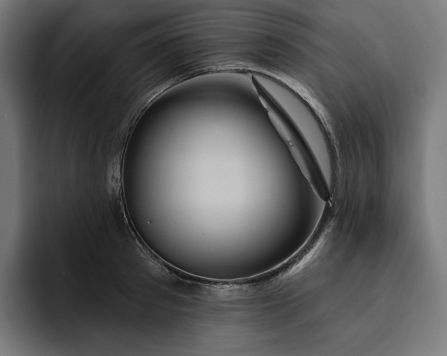 X0000093130897200710101057