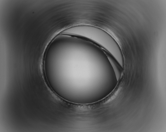 X0000093130901200710101057