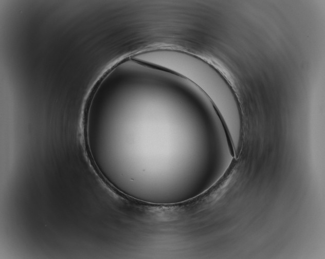 X0000093130902200710101057