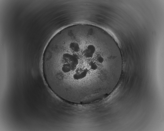 X0000093130903200710101057