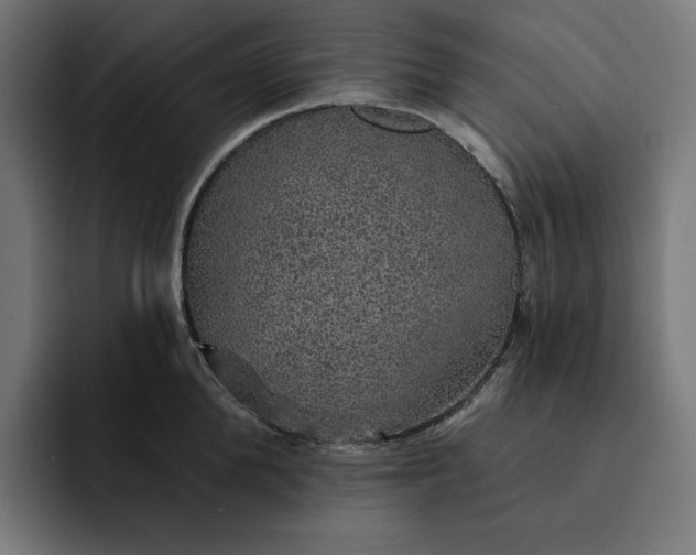 X0000093130904200710101057