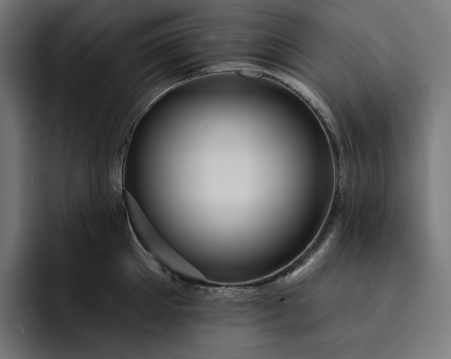 X0000093130905200710101057