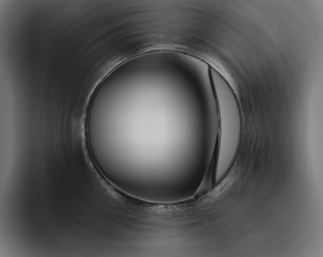 X0000093130906200710101057