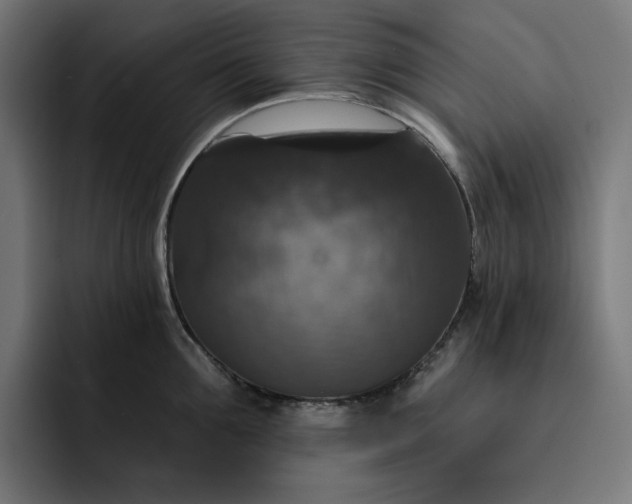 X0000093130907200710101057