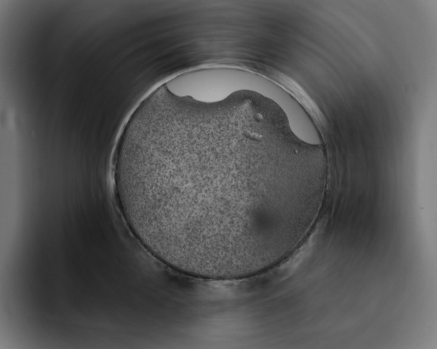 X0000093130908200710101057