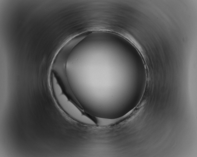 X0000093130909200710101057