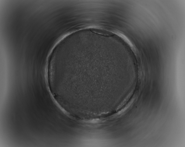 X0000093130910200710101057