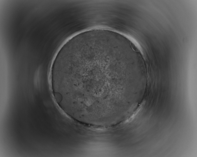 X0000093130911200710101057