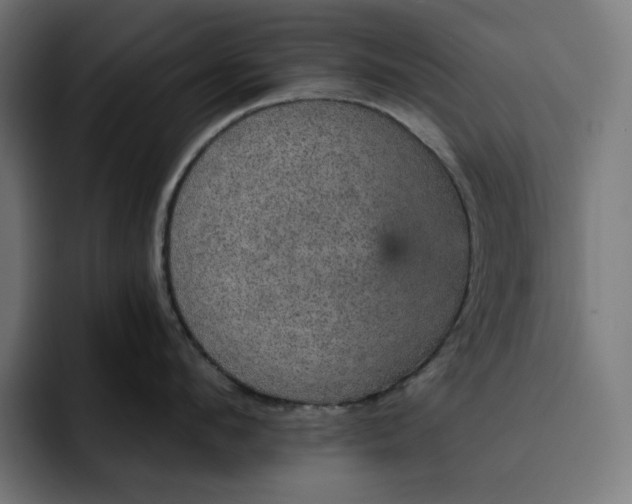 X0000093130912200710101057