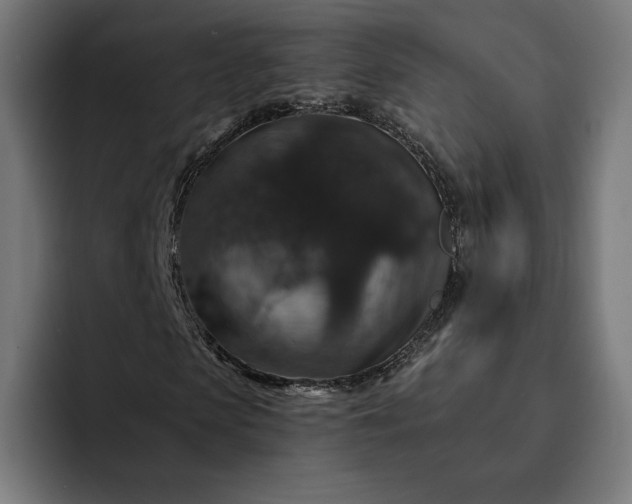 X0000093130913200710101056