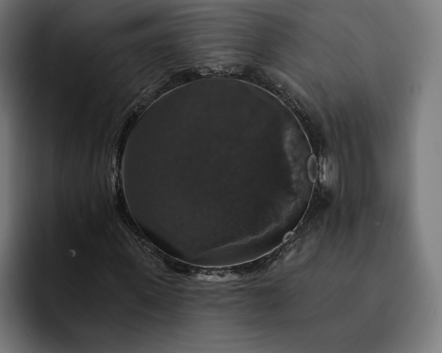 X0000093130915200710101056