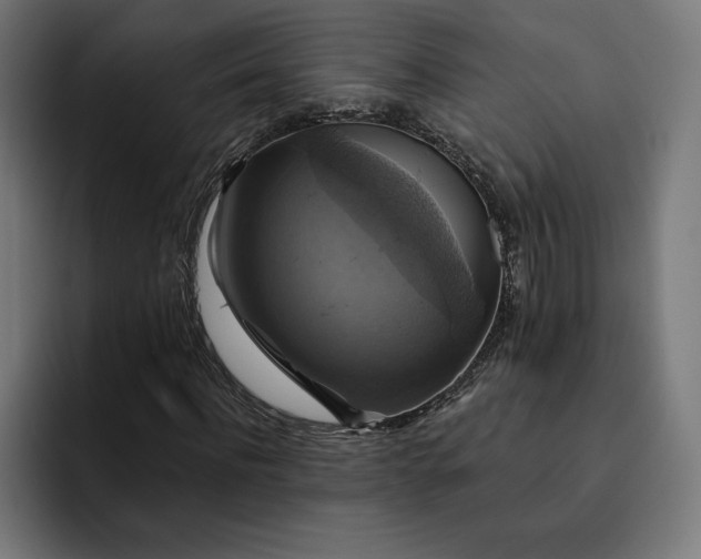 X0000093130916200710101056