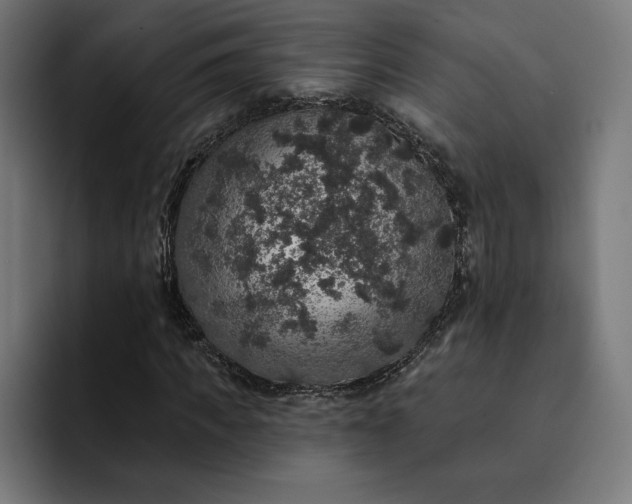 X0000093130917200710101056