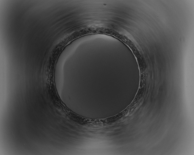 X0000093130919200710101056