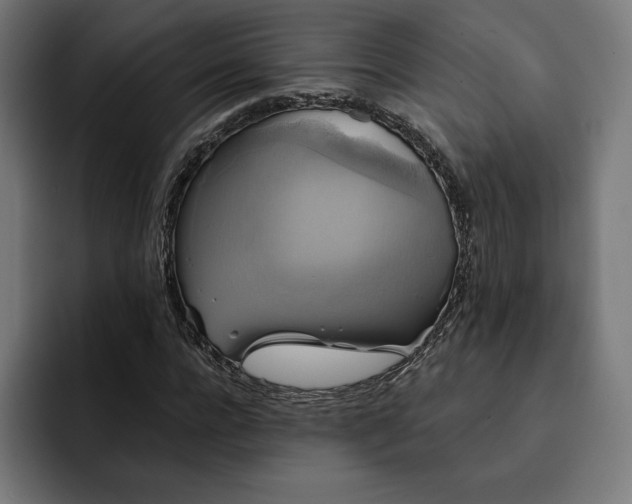 X0000093130920200710101056