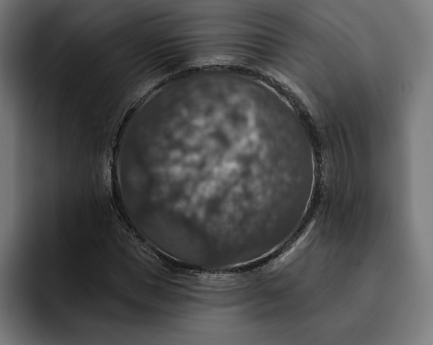 X0000093130921200710101056