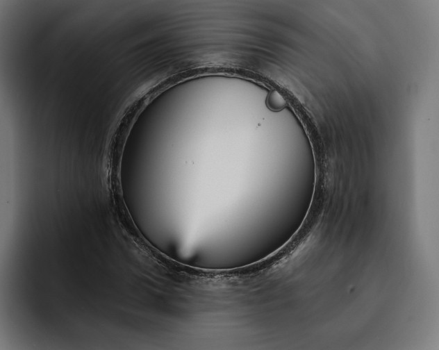 X0000093130922200710101056