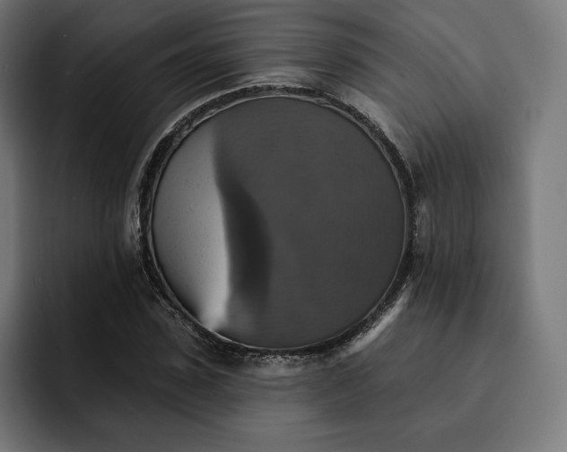 X0000093130923200710101056