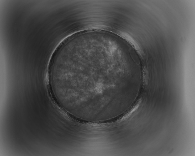 X0000093130924200710101056