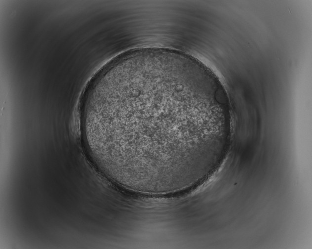 X0000093130925200710101056