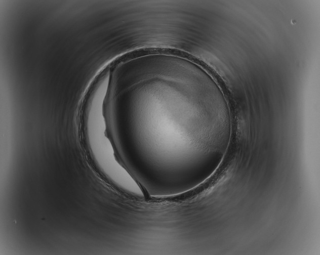 X0000093130926200710101056