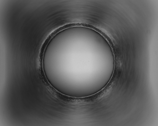 X0000093130927200710101056