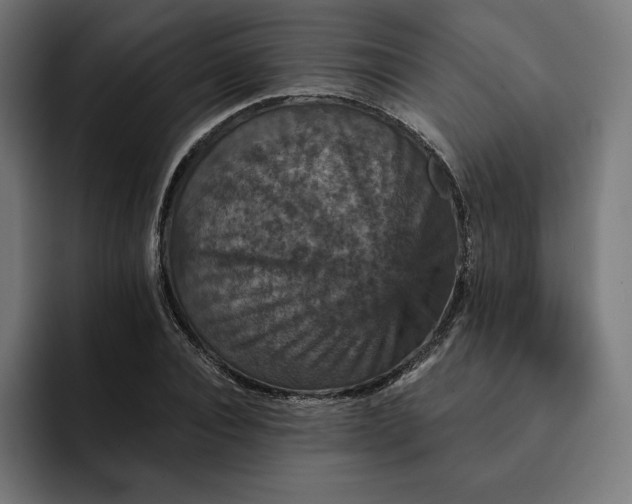 X0000093130928200710101056