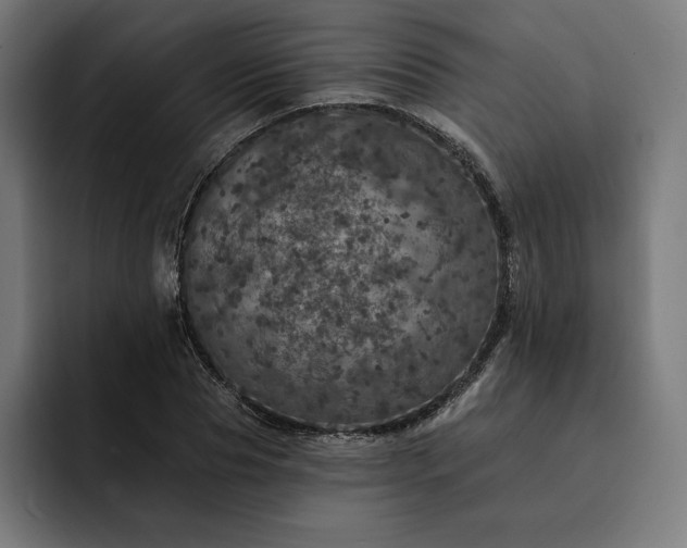 X0000093130929200710101056