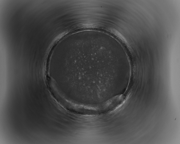 X0000093130930200710101056