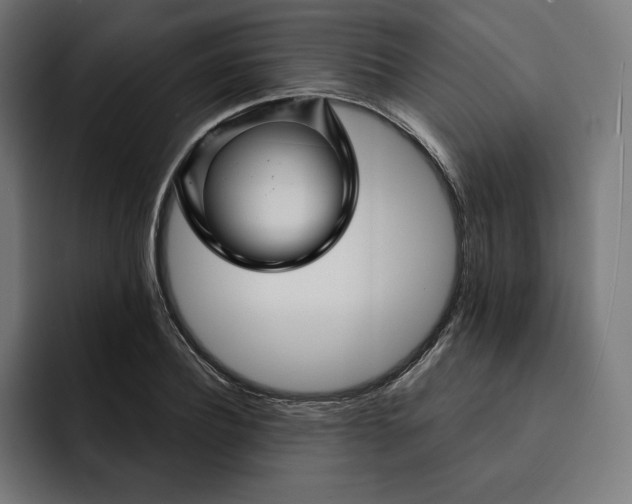 X0000093130932200710101056