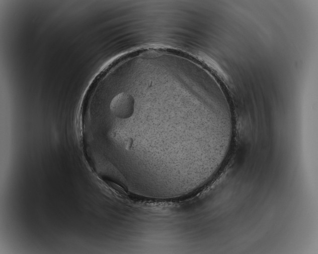 X0000093130934200710101056