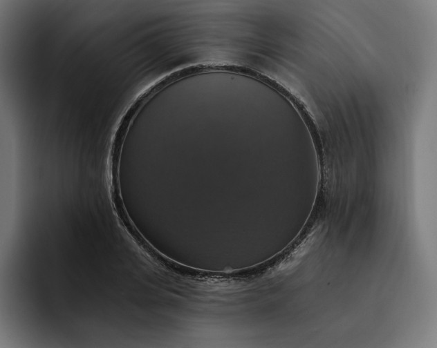 X0000093130935200710101056