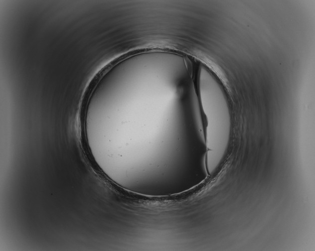 X0000093130936200710101056