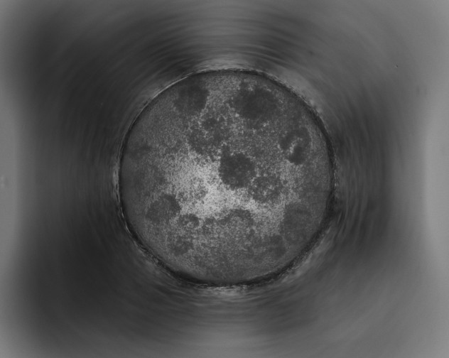 X0000093130937200710101056