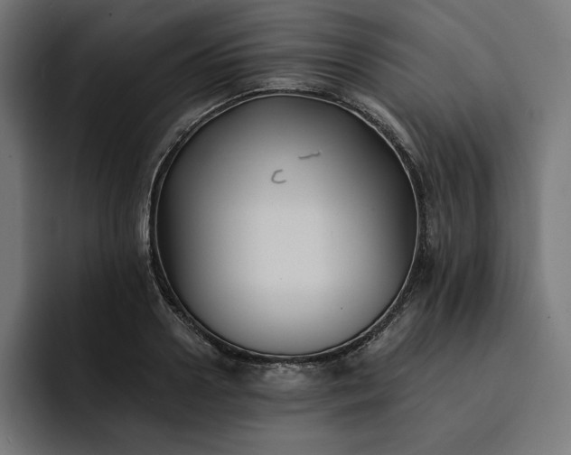 X0000093130938200710101056