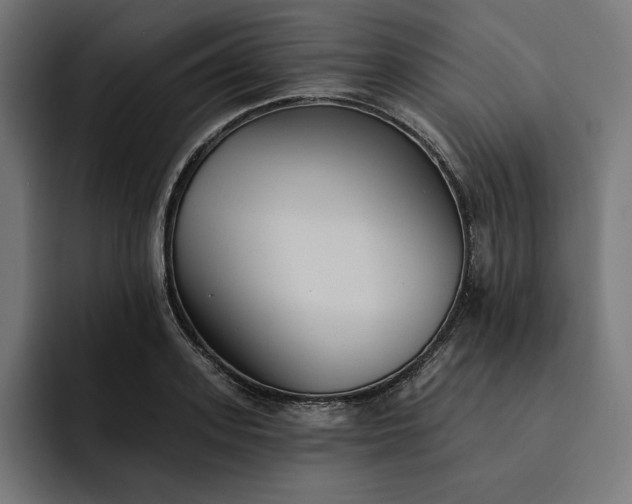 X0000093130939200710101056