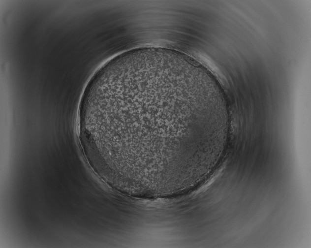 X0000093130940200710101056