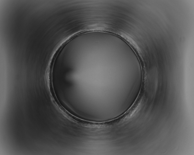 X0000093130941200710101056