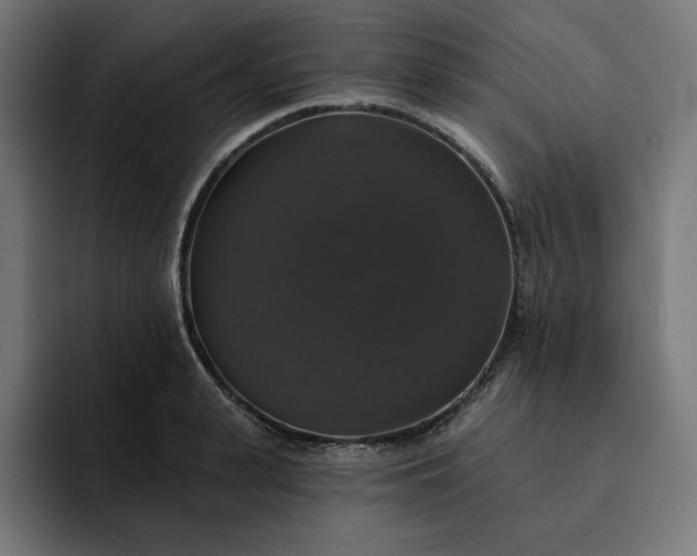 X0000093130943200710101056