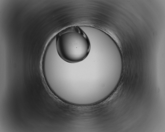 X0000093130944200710101056