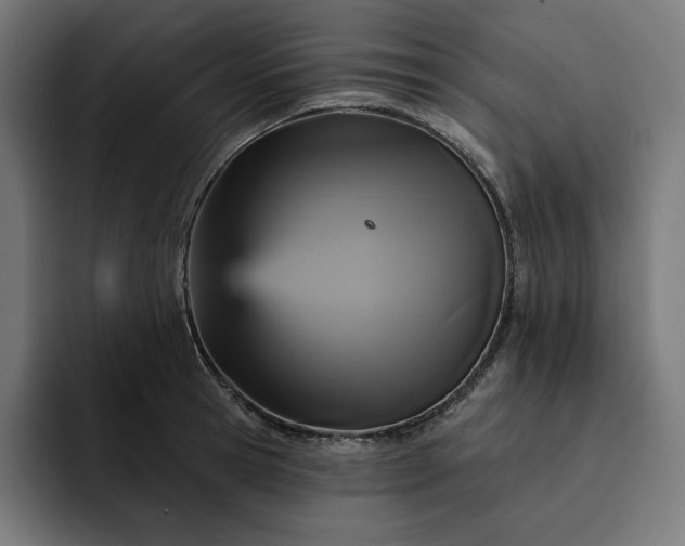 X0000093130945200710101056