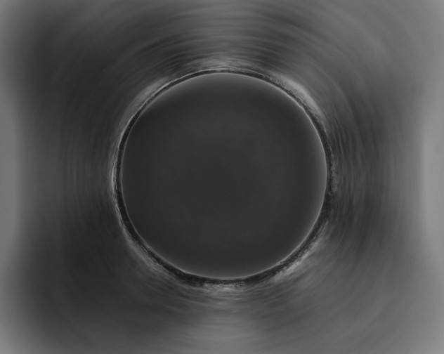 X0000093130946200710101056