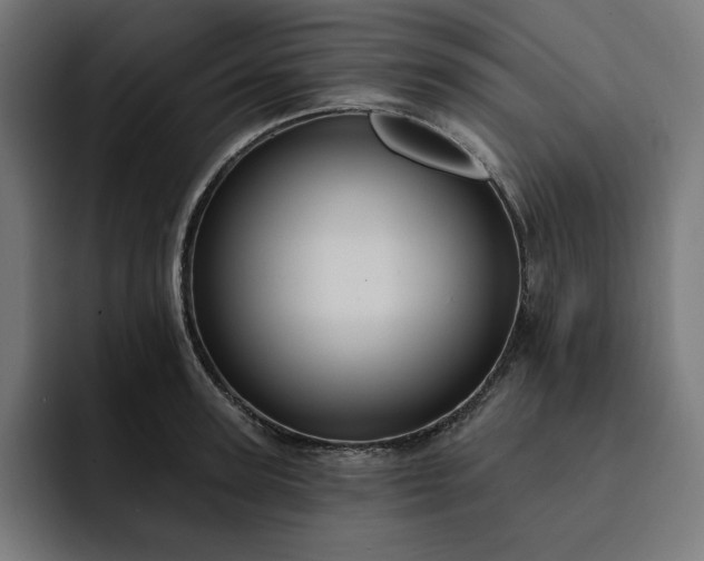 X0000093130947200710101056