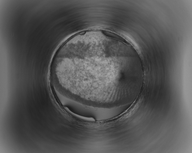 X0000093130948200710101056