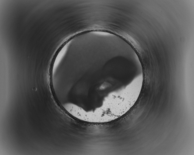 X0000093130950200710101056