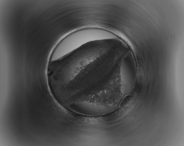 X0000093130951200710101056