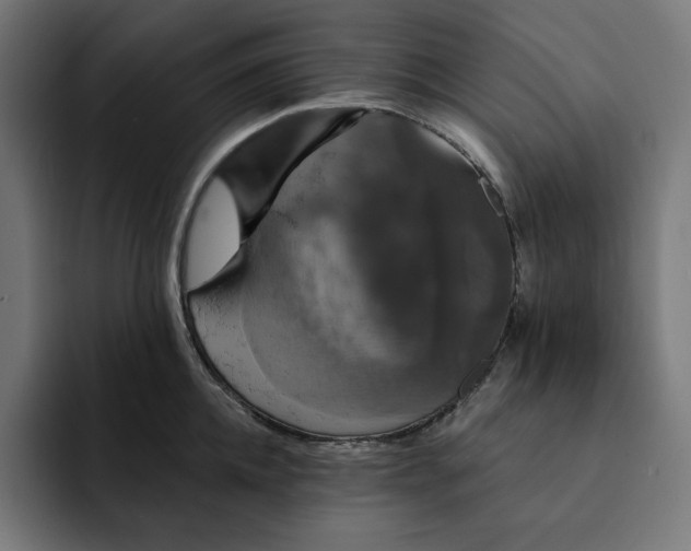 X0000093130952200710101056