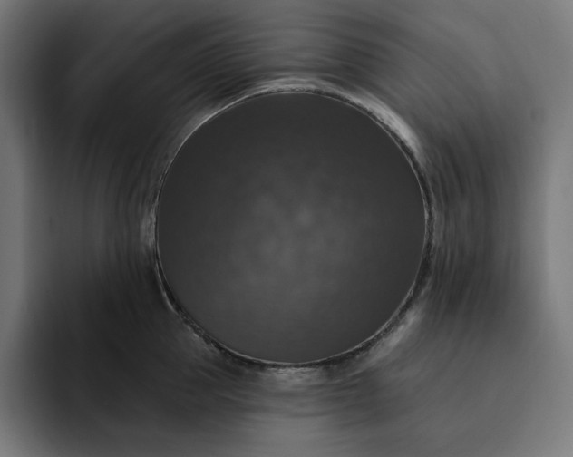 X0000093130953200710101056