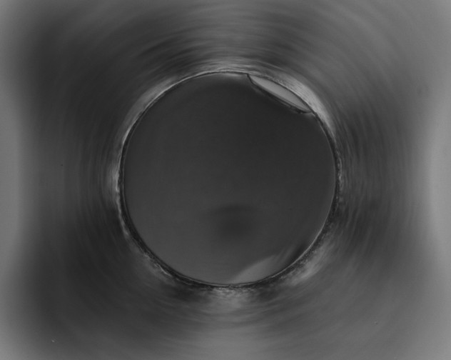 X0000093130954200710101056