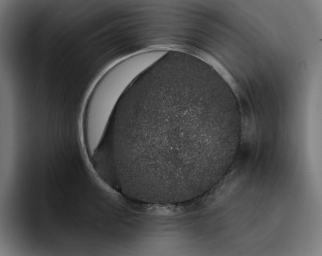 X0000093130955200710101056